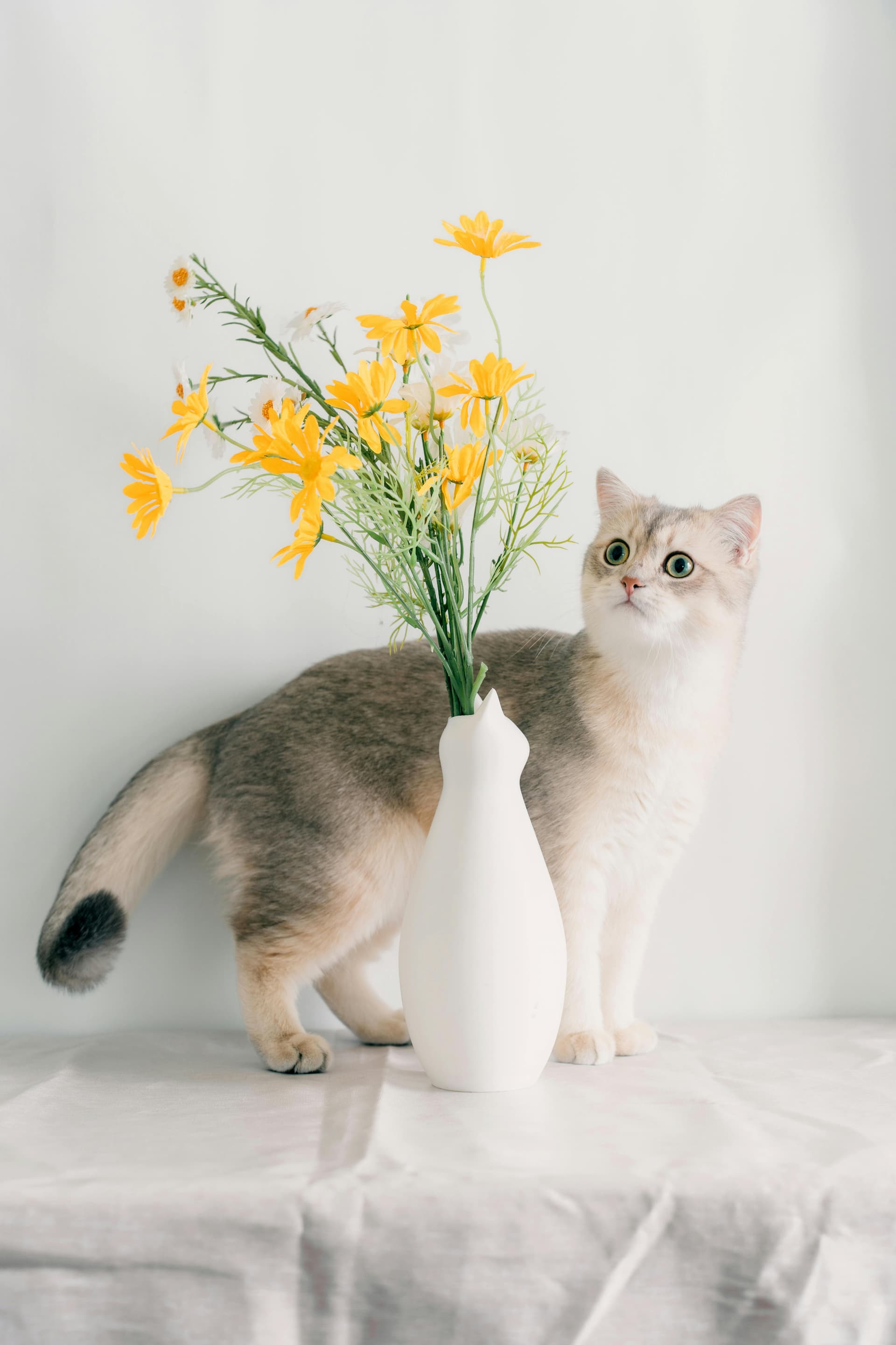 Deutsch-Chinesisches Kulturaustauschforum 2025 Bild 4